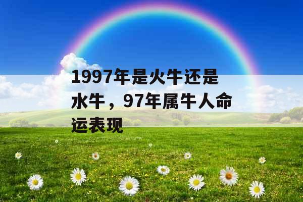 1997年是火牛还是水牛，97年属牛人命运表现