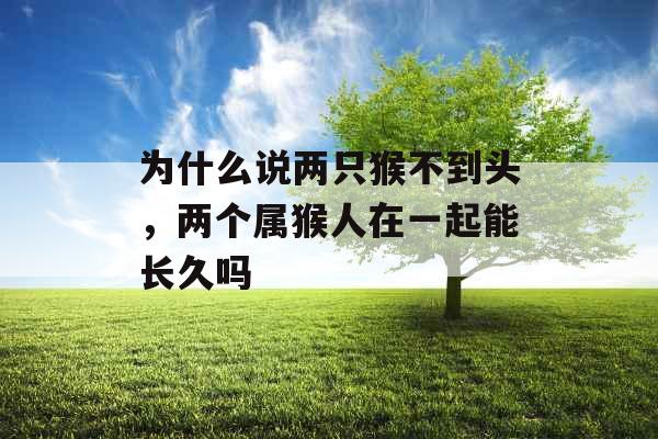 为什么说两只猴不到头，两个属猴人在一起能长久吗