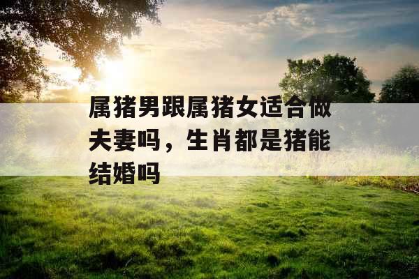 属猪男跟属猪女适合做夫妻吗，生肖都是猪能结婚吗