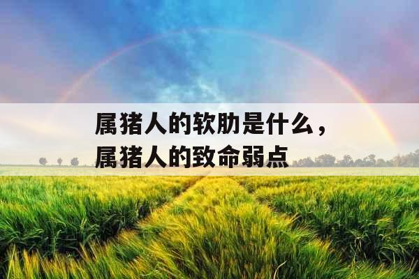 属猪人的软肋是什么，属猪人的致命弱点