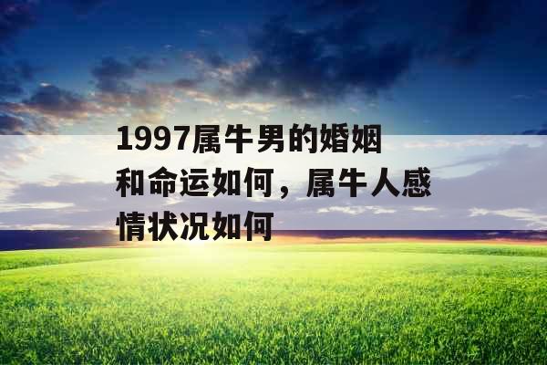 1997属牛男的婚姻和命运如何，属牛人感情状况如何