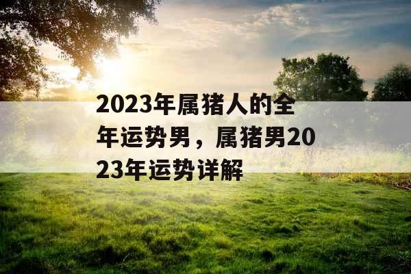 2023年属猪人的全年运势男，属猪男2023年运势详解