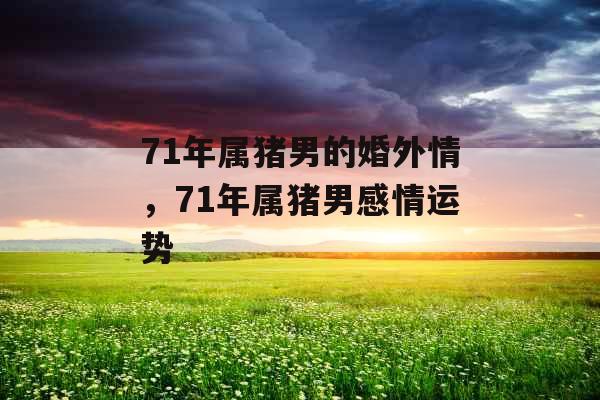 71年属猪男的婚外情，71年属猪男感情运势