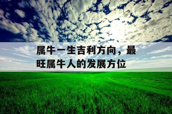 属牛一生吉利方向，最旺属牛人的发展方位
