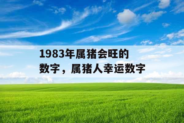 1983年属猪会旺的数字，属猪人幸运数字