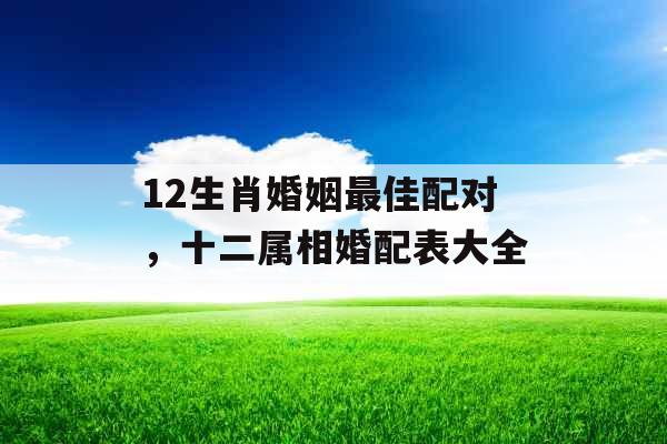 12生肖婚姻最佳配对，十二属相婚配表大全