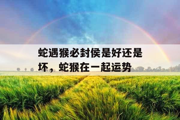 蛇遇猴必封侯是好还是坏，蛇猴在一起运势