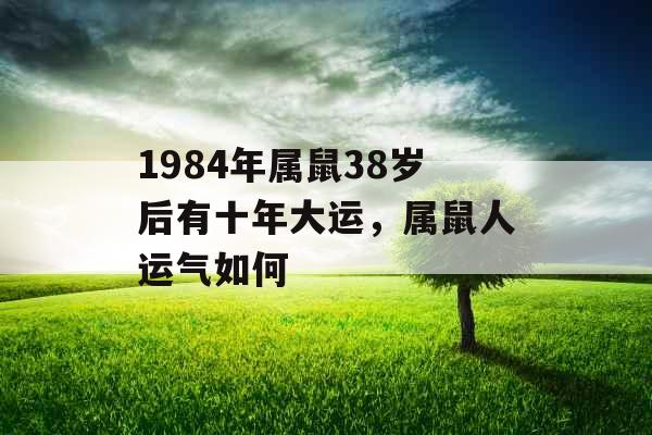 1984年属鼠38岁后有十年大运，属鼠人运气如何