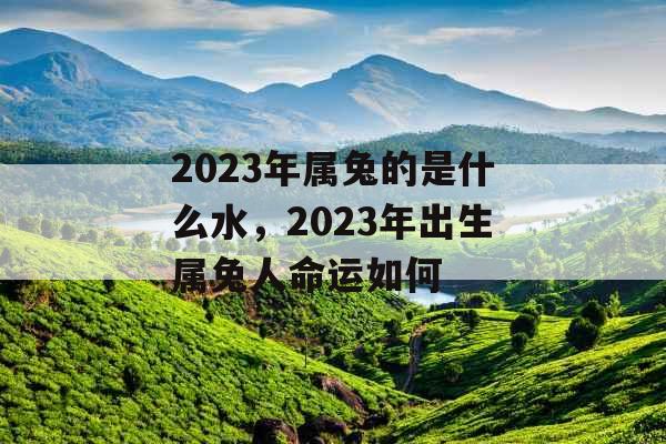 2023年属兔的是什么水，2023年出生属兔人命运如何