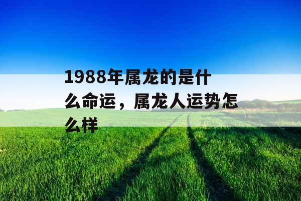 1988年属龙的是什么命运，属龙人运势怎么样