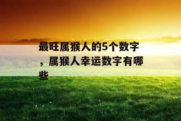 最旺属猴人的5个数字，属猴人幸运数字有哪些