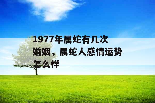 1977年属蛇有几次婚姻，属蛇人感情运势怎么样