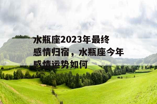 水瓶座2023年最终感情归宿，水瓶座今年感情运势如何
