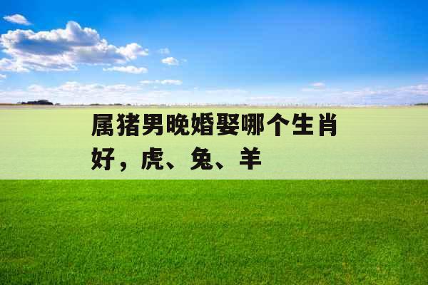 属猪男晚婚娶哪个生肖好，虎、兔、羊