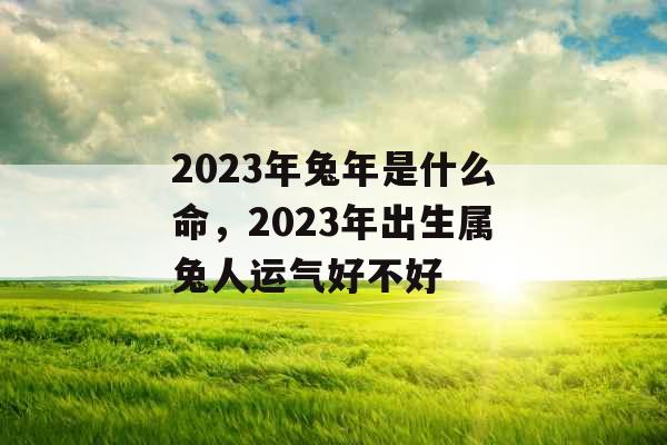 2023年兔年是什么命，2023年出生属兔人运气好不好