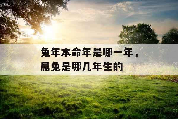 兔年本命年是哪一年,属兔是哪几年生的 兔年本命年是哪一年,属兔是哪几年生的