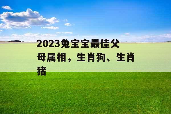 2023兔宝宝最佳父母属相,生肖狗、生肖猪 2023兔宝宝最佳父母属相,生肖狗、生肖猪