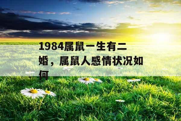 1984属鼠一生有二婚，属鼠人感情状况如何