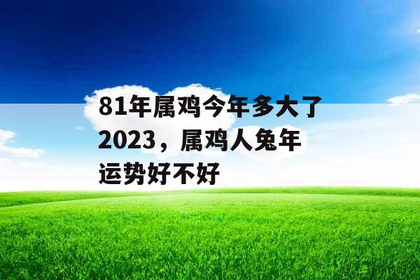 81年属鸡今年多大了2023，属鸡人兔年运势好不好