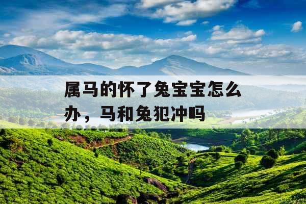 属马的怀了兔宝宝怎么办,马和兔犯冲吗 属马的怀了兔宝宝怎么办,马和兔犯冲吗