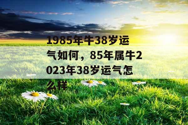 1985年牛38岁运气如何，85年属牛2023年38岁运气怎么样