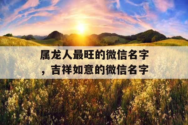 属龙人最旺的微信名字，吉祥如意的微信名字