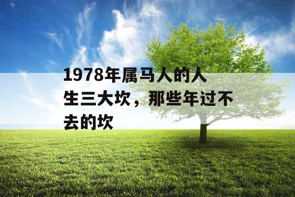 1978年属马人的人生三大坎，那些年过不去的坎