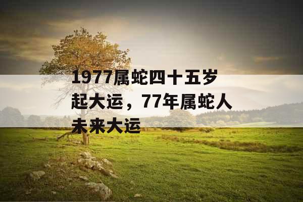 1977属蛇四十五岁起大运，77年属蛇人未来大运