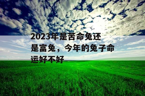 2023年是苦命兔还是富兔，今年的兔子命运好不好