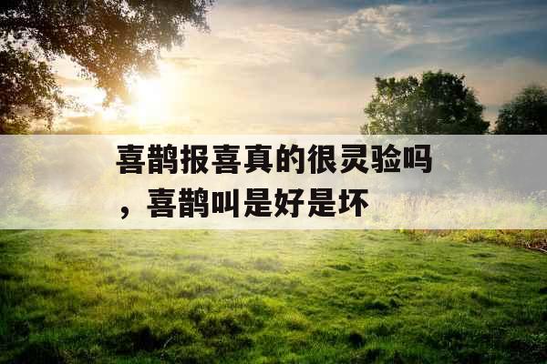 喜鹊报喜真的很灵验吗，喜鹊叫是好是坏