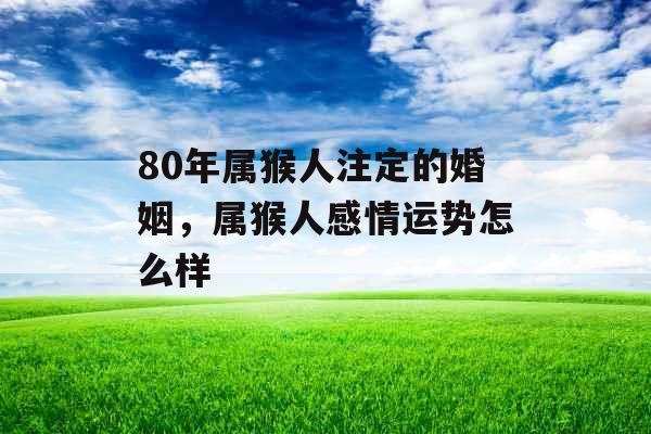 80年属猴人注定的婚姻，属猴人感情运势怎么样