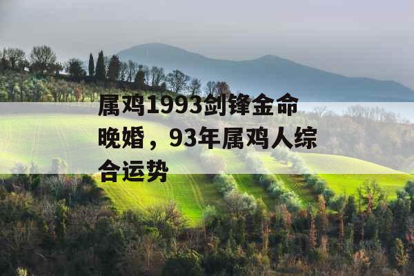 属鸡1993剑锋金命晚婚，93年属鸡人综合运势