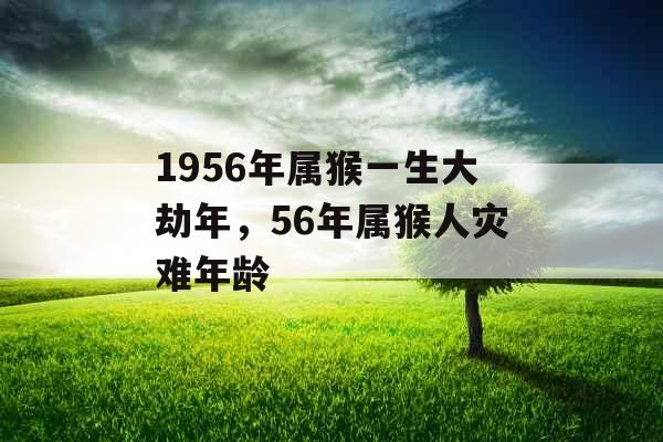 1956年属猴一生大劫年,56年属猴人灾难年龄