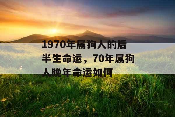 1970年属狗人的后半生命运，70年属狗人晚年命运如何