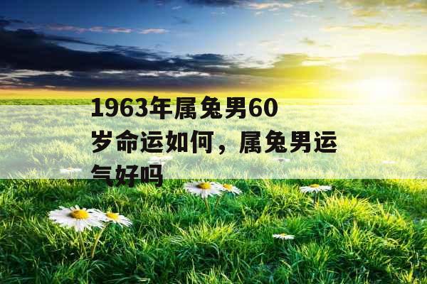 1963年属兔男60岁命运如何,属兔男运气好吗