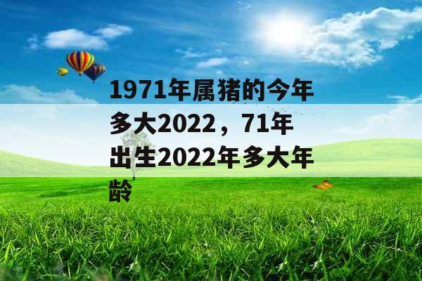 1971年属猪的今年多大2022,71年出生2022年多大年龄