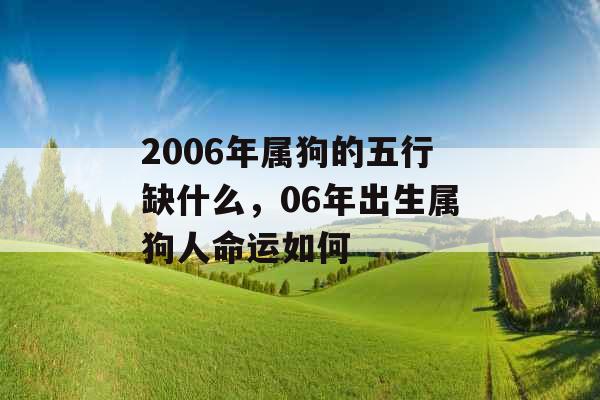 2006年属狗的五行缺什么,06年出生属狗人命运如何