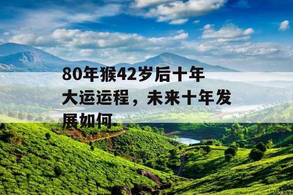 80年猴42岁后十年大运运程,未来十年发展如何