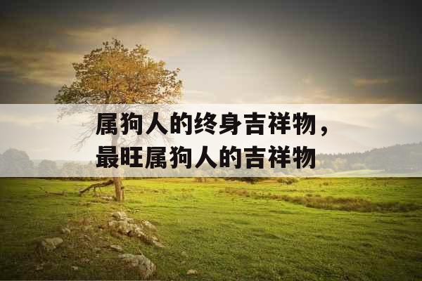 属狗人的终身吉祥物,最旺属狗人的吉祥物