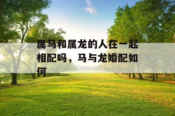 属马和属龙的人在一起相配吗,马与龙婚配如何