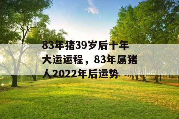 83年猪39岁后十年大运运程,83年属猪人2022年后运势