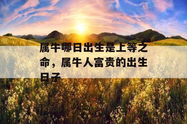 属牛哪日出生是上等之命,属牛人富贵的出生日子