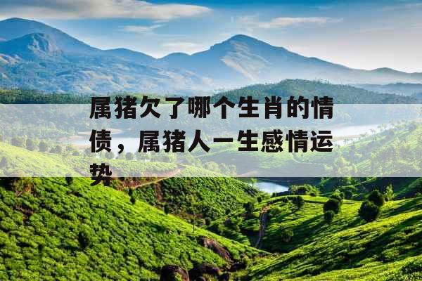 属猪欠了哪个生肖的情债,属猪人一生感情运势