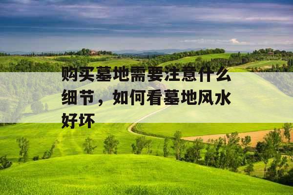 购买墓地需要注意什么细节,如何看墓地风水好坏