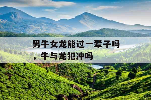 男牛女龙能过一辈子吗,牛与龙犯冲吗