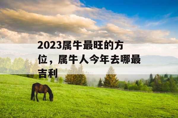 2023属牛最旺的方位,属牛人今年去哪最吉利
