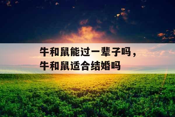 牛和鼠能过一辈子吗,牛和鼠适合结婚吗
