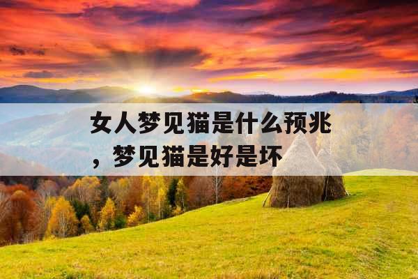 女人梦见猫是什么预兆，梦见猫是好是坏