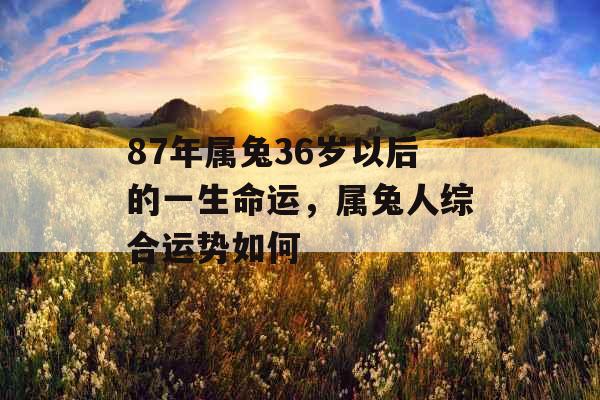 87年属兔36岁以后的一生命运，属兔人综合运势如何
