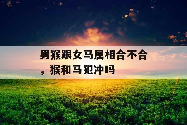 男猴跟女马属相合不合，猴和马犯冲吗